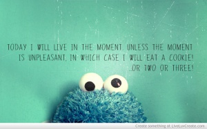 live_the_moment_cookie_monster-151552